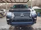 2017 LEXUS GX 460