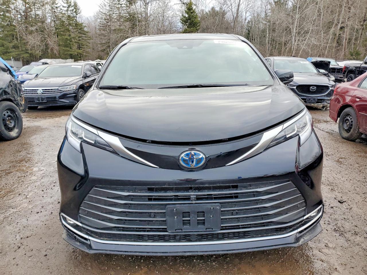 2024 TOYOTA SIENNA