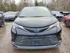 2024 TOYOTA SIENNA