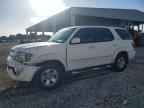 2006 TOYOTA Sequoia