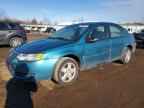 2005 Snowex Ion