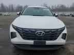 2024 Hyun Tucson