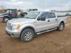2014 FORD F-150 Lightning