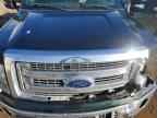 2013 FORD F-150 Lightning