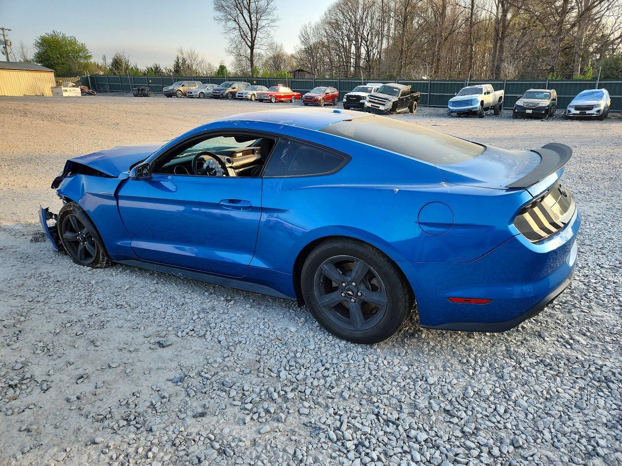 2019 FORD MUSTANG