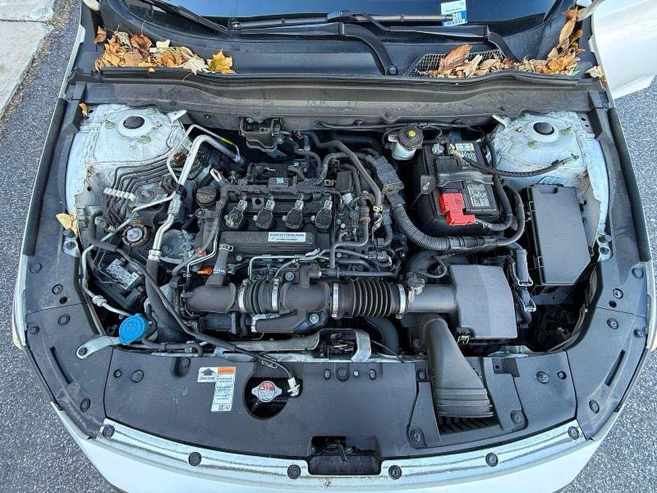 2019 HONDA ACCORD