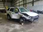 2009 FORD ESCAPE