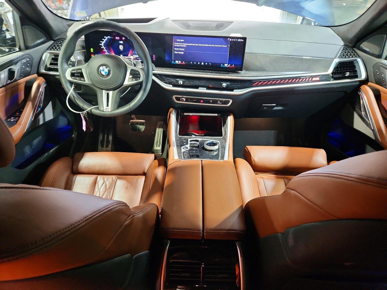 2025 BMW X6