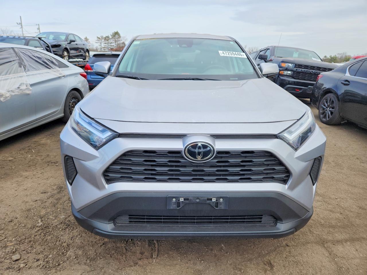 2023 TOYOTA RAV4