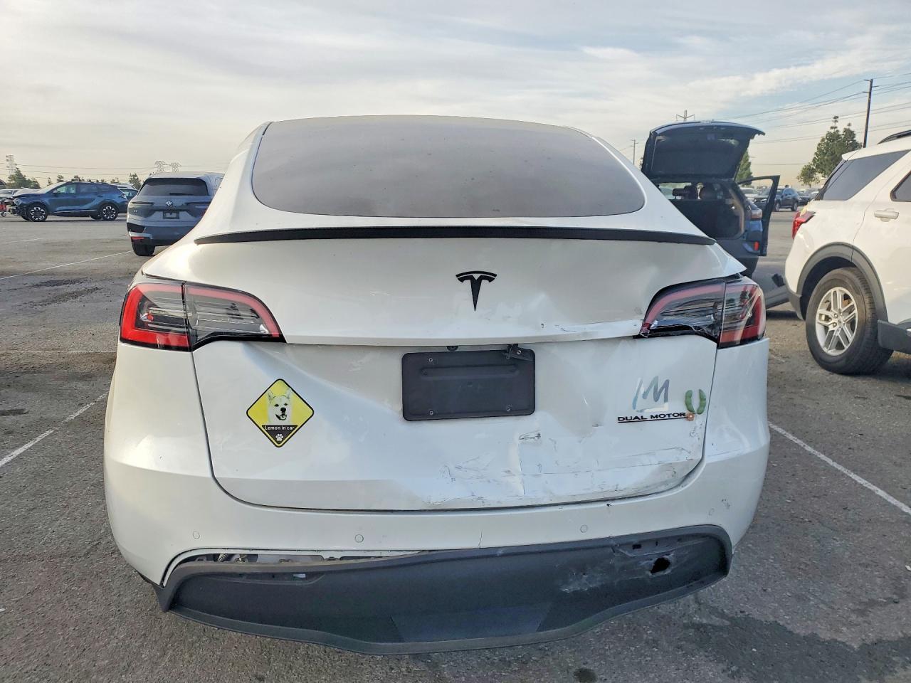 2021 TESLA MODEL Y