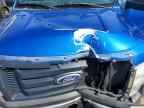 2009 FORD F-150 Lightning