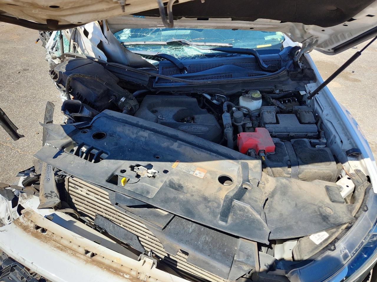 2019 FORD RANGER