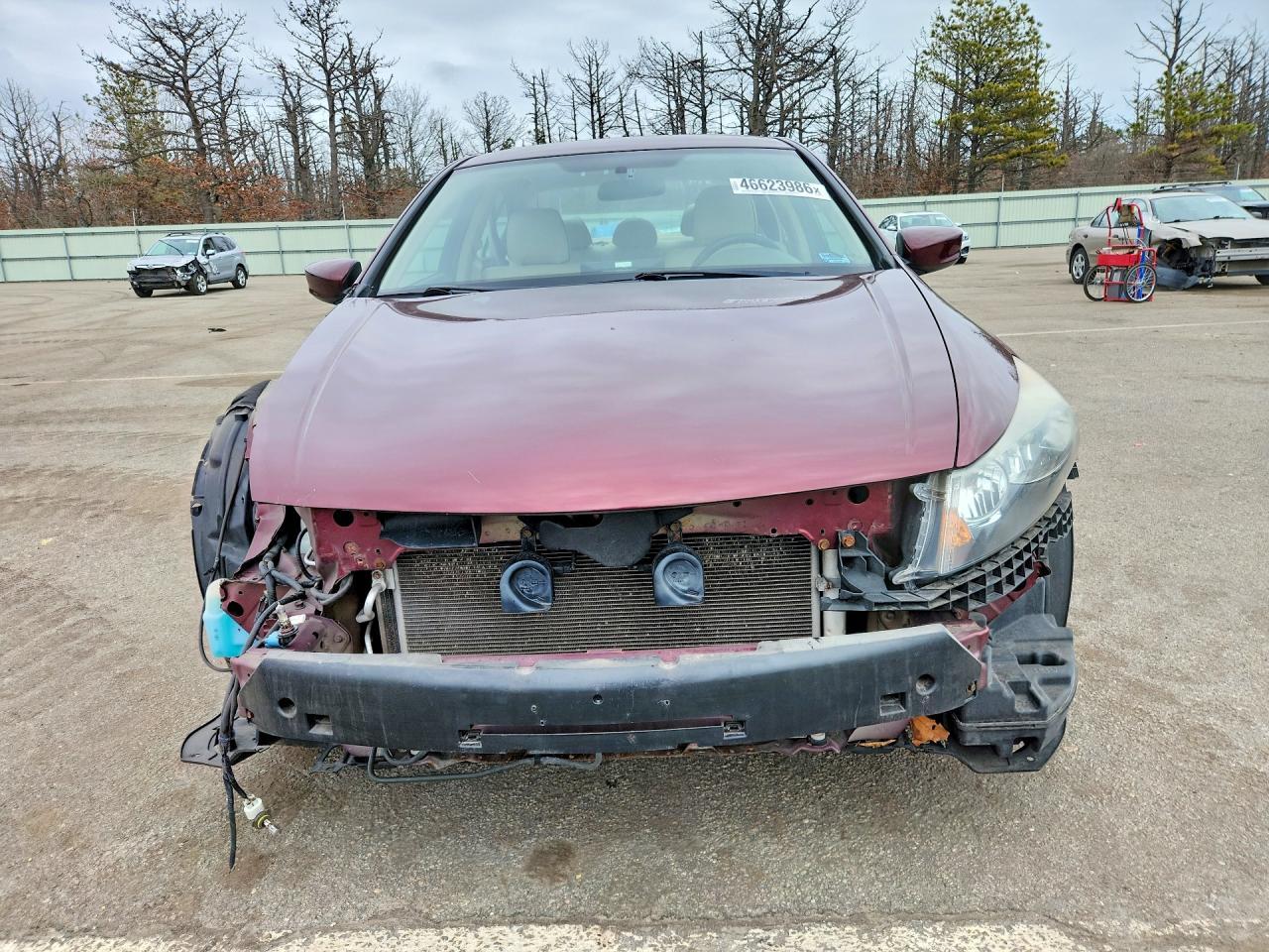 2010 HONDA ACCORD