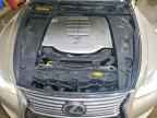 2013 LEXUS LS 460