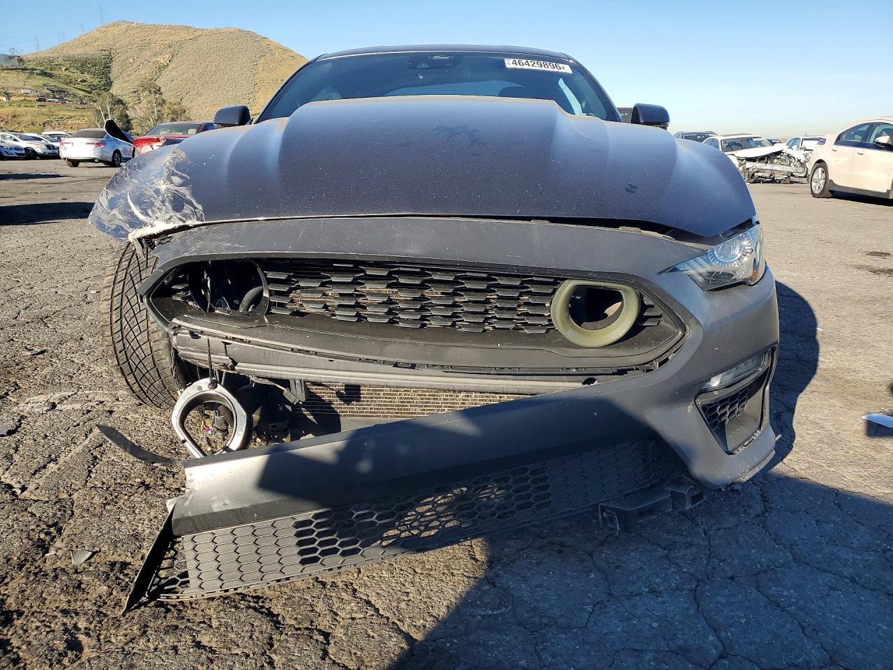 2019 FORD MUSTANG