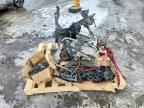 2007 SKI-DOO Skandic