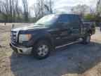 2013 FORD F-150 Lightning