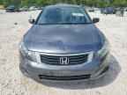 2010 HONDA ACCORD