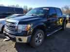 2013 FORD F-150 Lightning