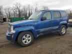 2010 JEEP Liberty