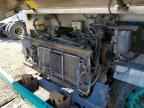 2010 Workhorse W42