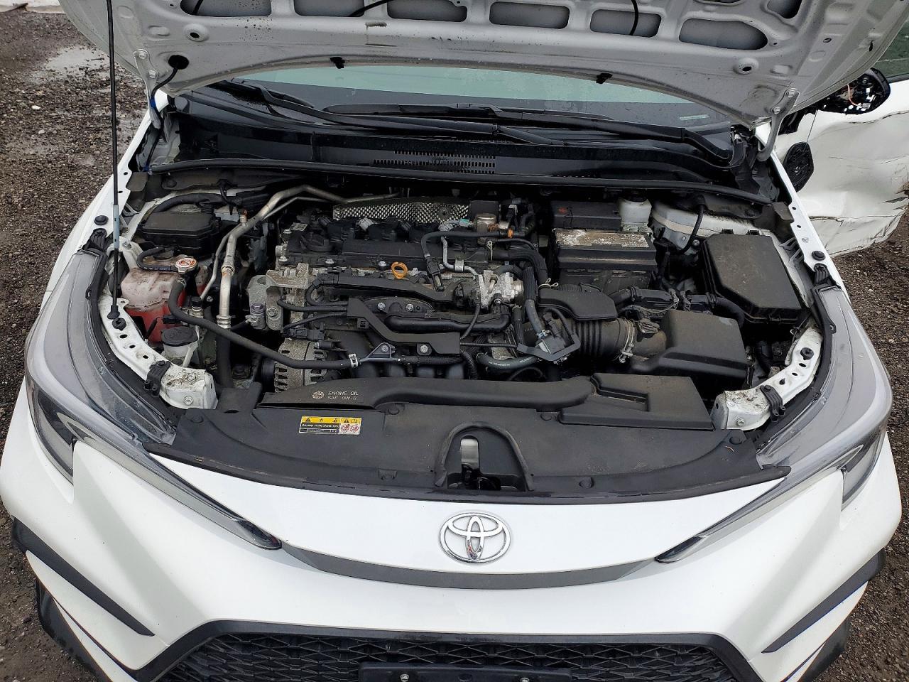2025 TOYOTA COROLLA