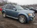 2010 FORD Escape Hybrid