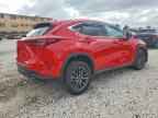 2023 LEXUS NX 250