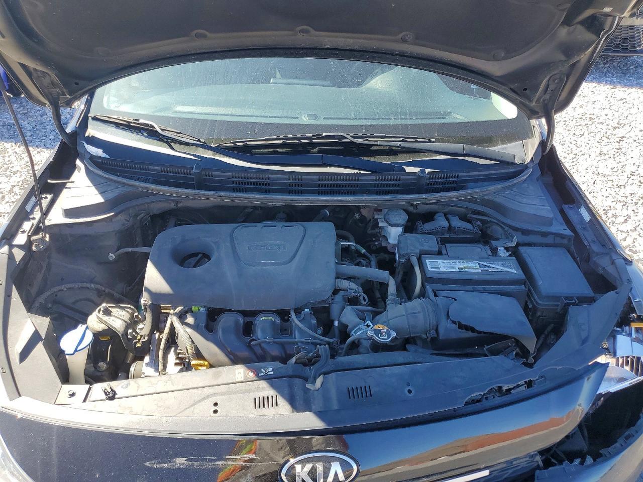 2019 KIA RIO