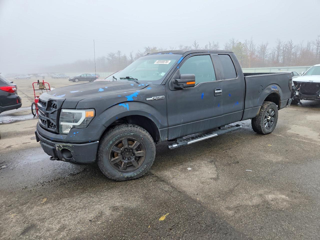 2011 FORD F-150