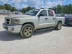 2011 DODGE Dakota