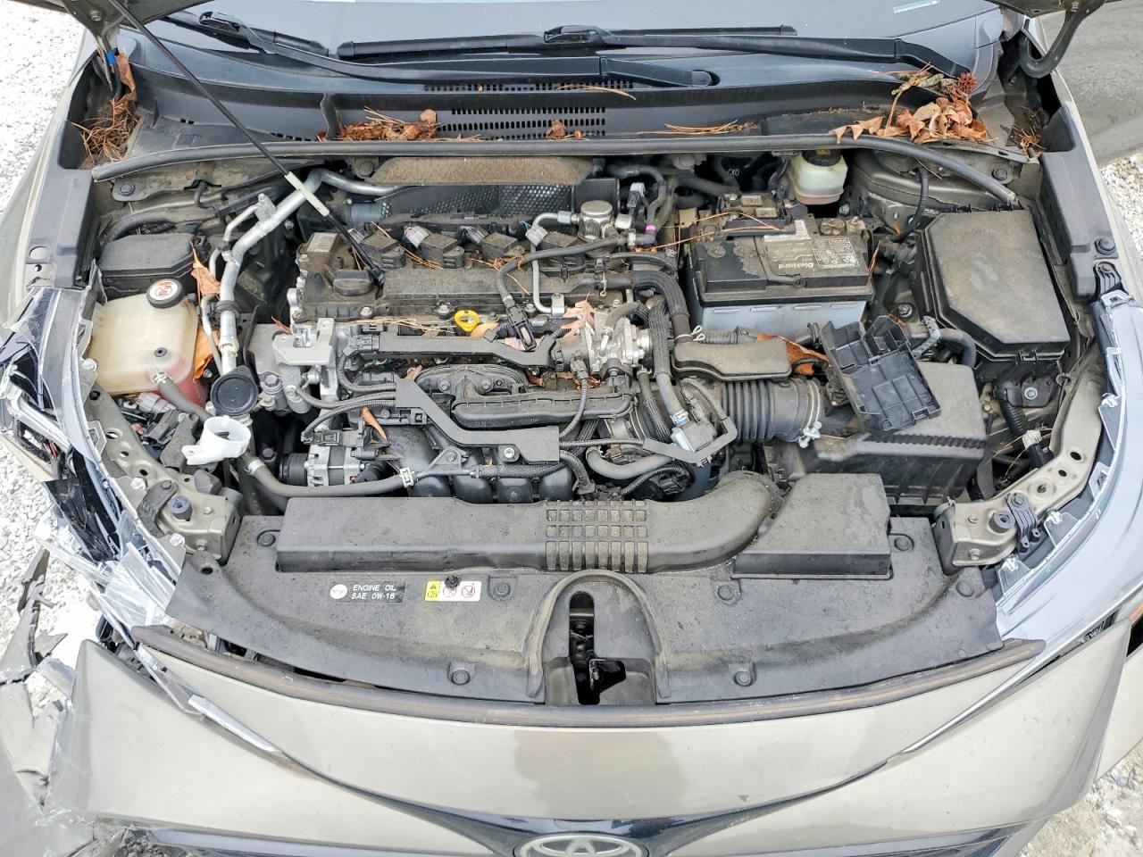 2019 TOYOTA COROLLA