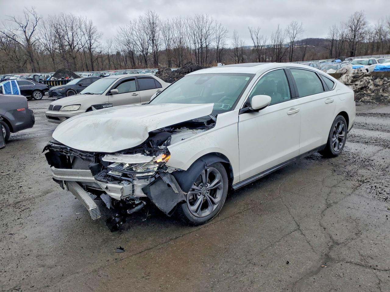 2023 HONDA ACCORD