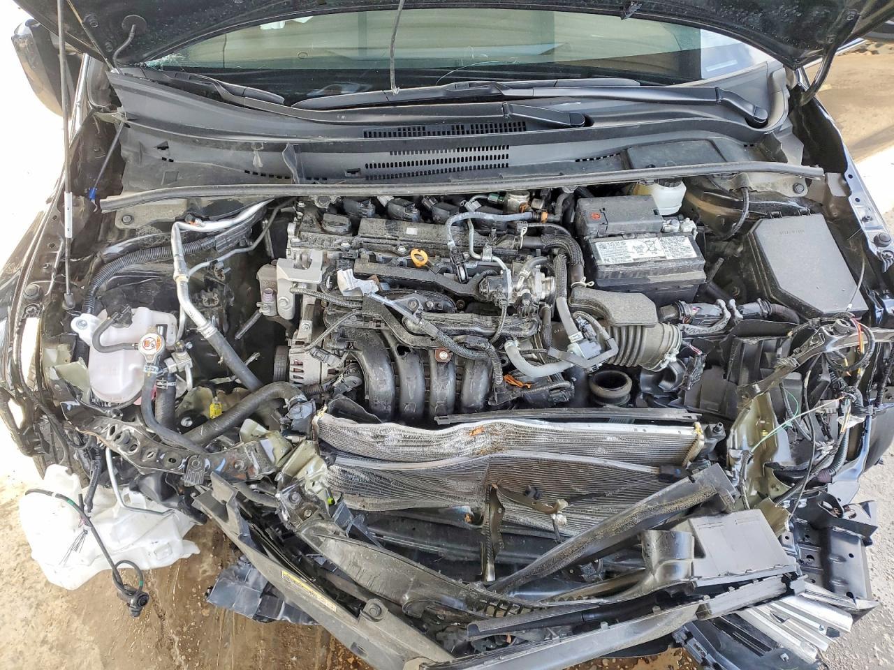 2025 TOYOTA COROLLA