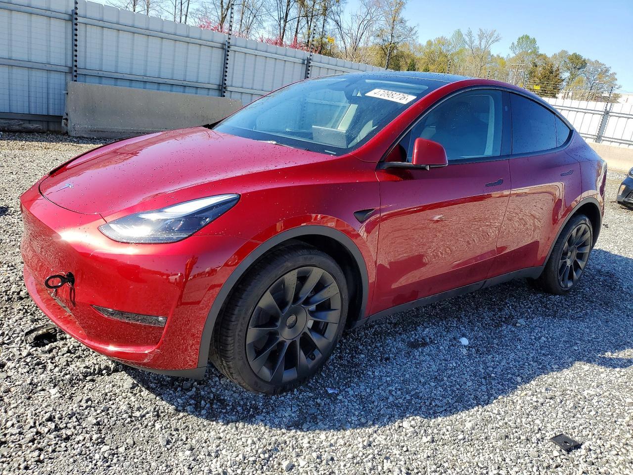 2025 TESLA MODEL Y
