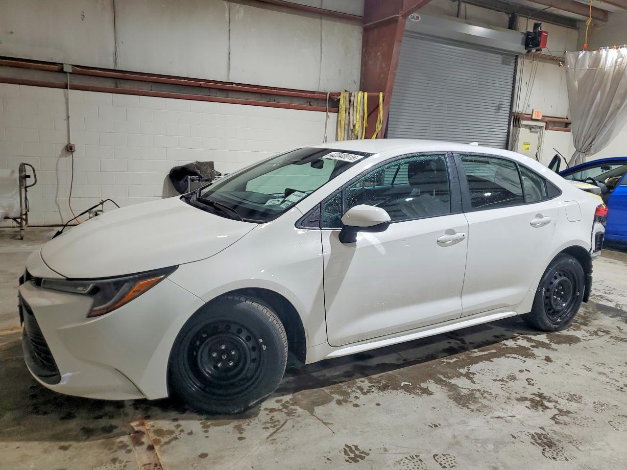 2025 TOYOTA COROLLA