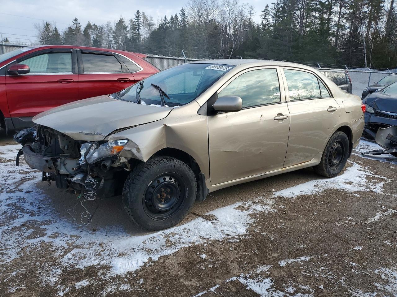 2009 TOYOTA COROLLA