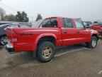 2004 DODGE Dakota