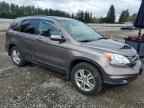 2010 HONDA CR-V