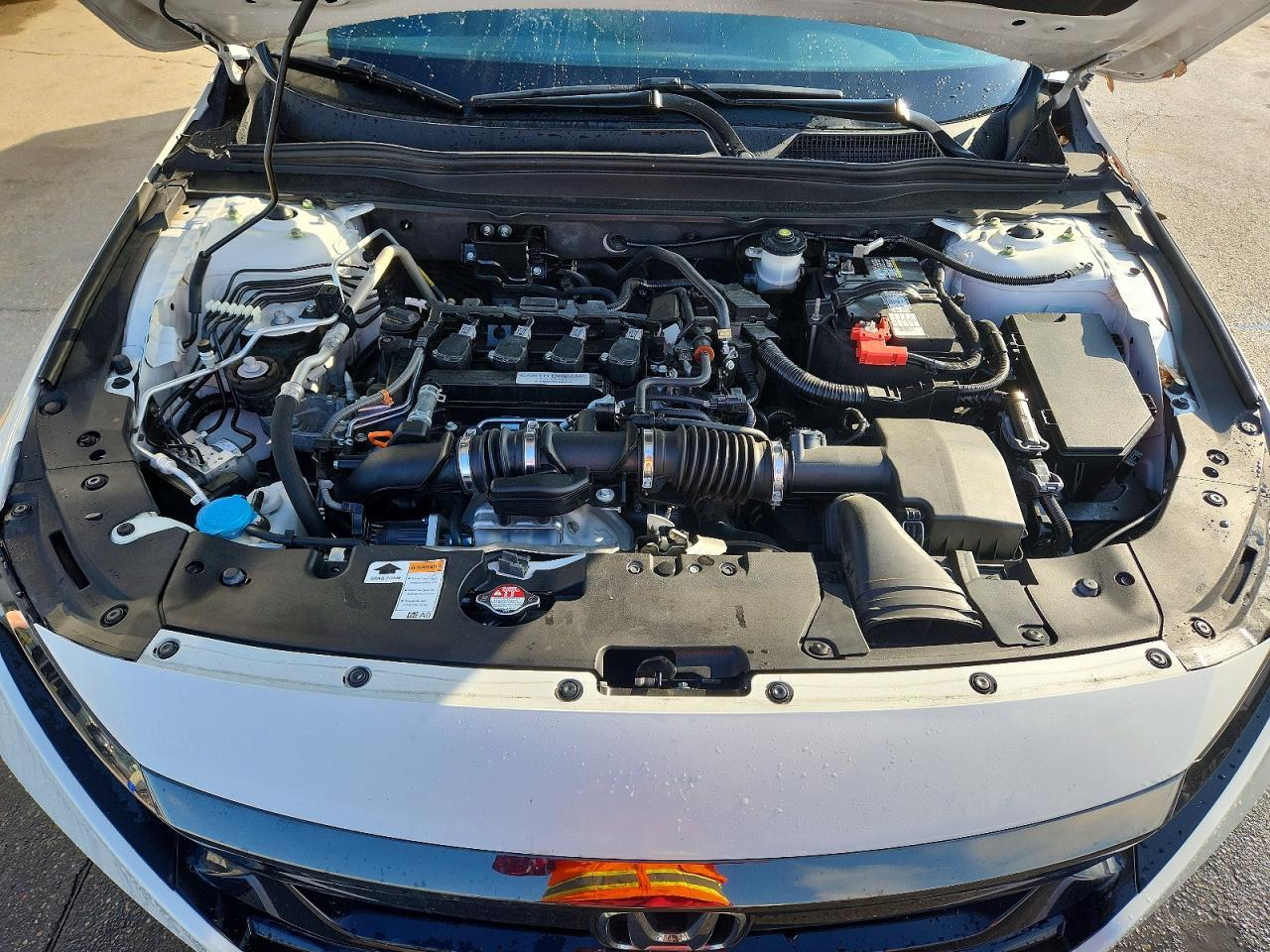 2019 HONDA ACCORD