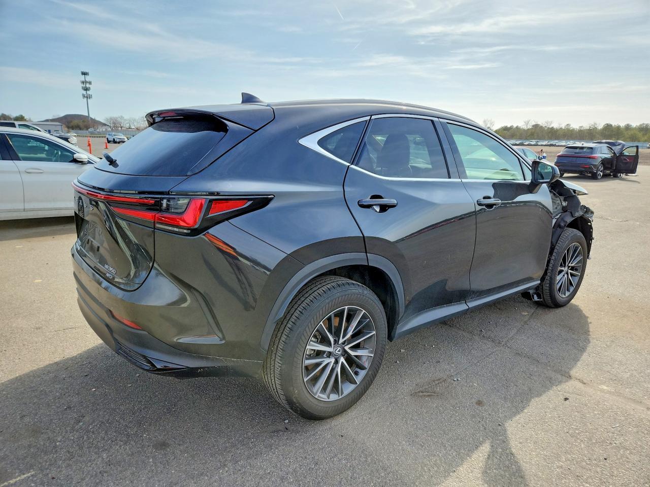 2024 LEXUS NX 350