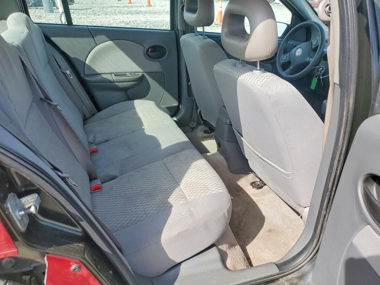 2007 Snowex Ion