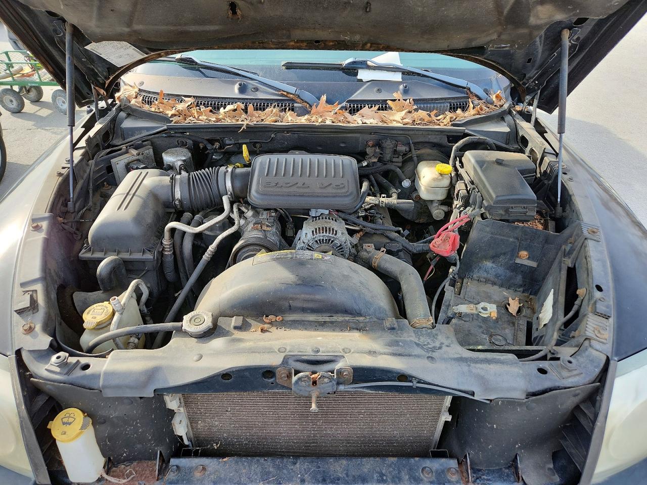 2005 DODGE Dakota