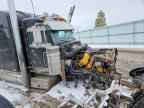 2006 PETERBILT 379