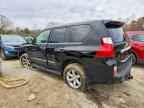 2013 LEXUS GX 460