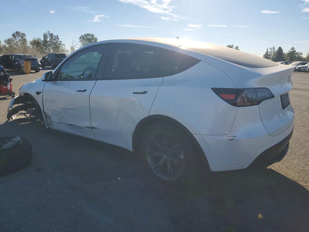 2025 TESLA MODEL Y