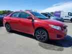 2009 TOYOTA COROLLA