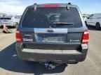 2008 FORD Escape Hybrid