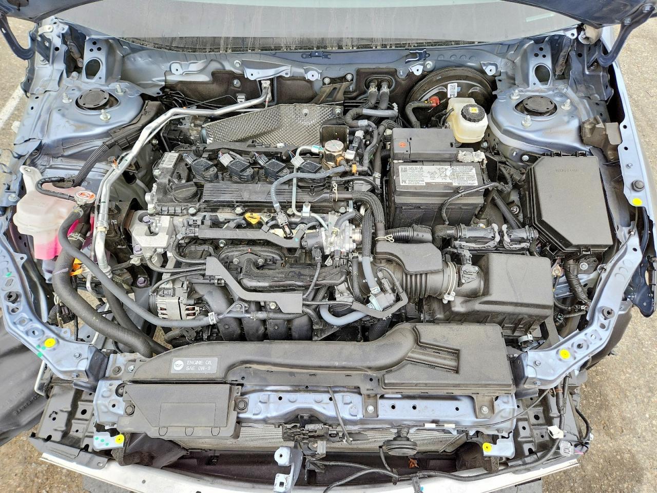 2025 TOYOTA COROLLA