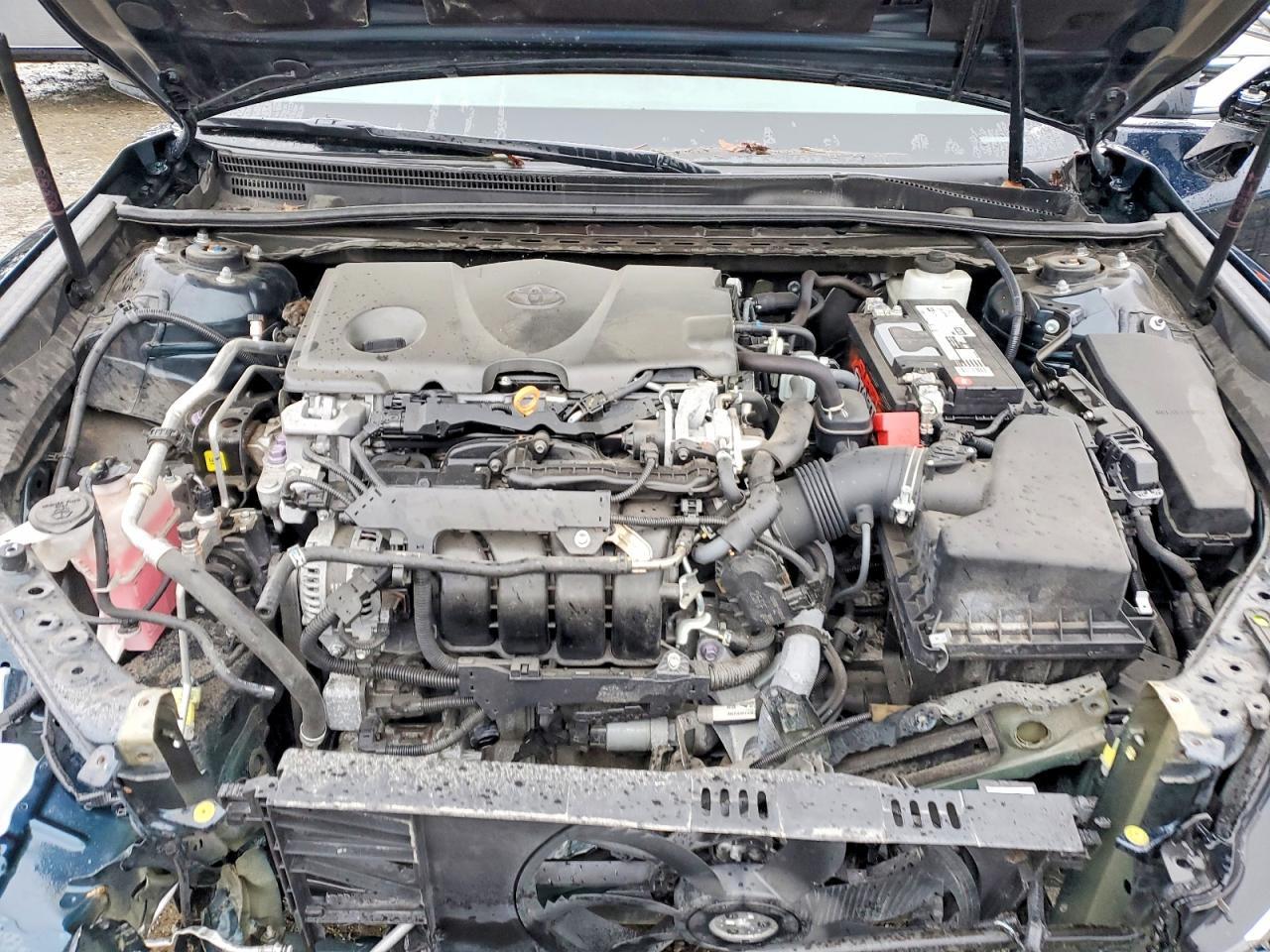 2019 TOYOTA CAMRY